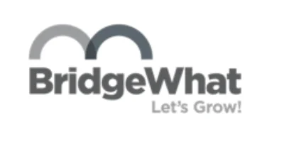 bridgewhat clientes b2b